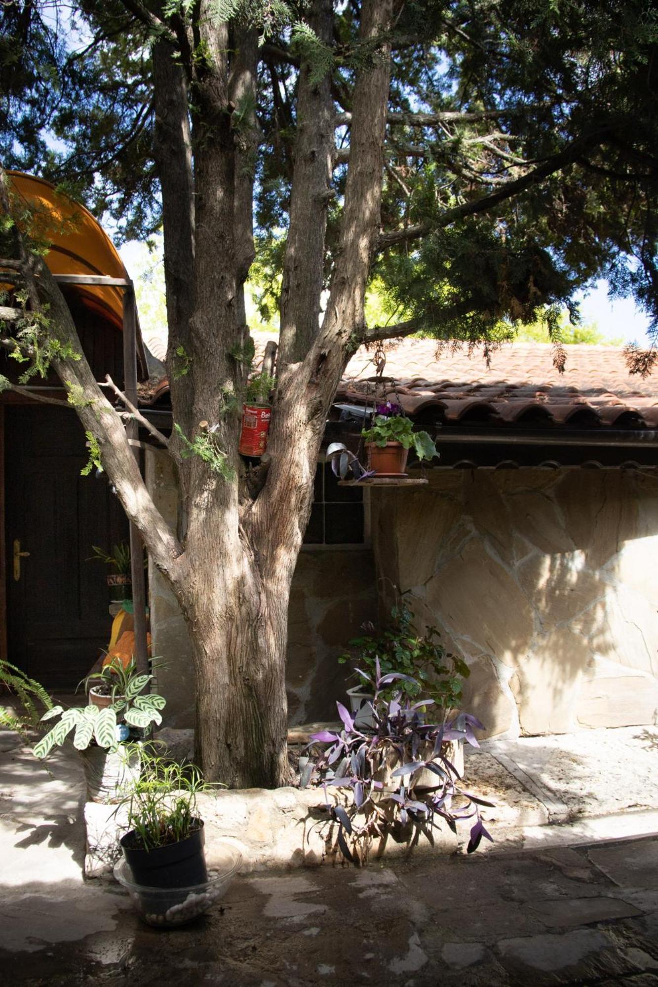 Старата Баkалия The Old Grocery, Guest Rooms Balchik Extérieur photo